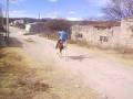 videos de TIO CESAR MONTANDO SAN BERNARDO DURANGO