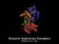 PcrA Helicase and the Mexican Wave