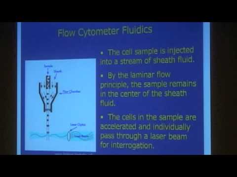 how to isolate cyanobacteria from soil