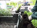 How do all those plants get potted
