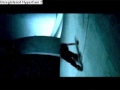 My Wall To Wall Remix My Wall To Wall Remix