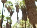 la poza en guaymas