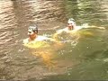 la poza en guaymas