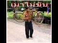 ต้อนฮับเมียใหม่ - เพลงคำเมือง