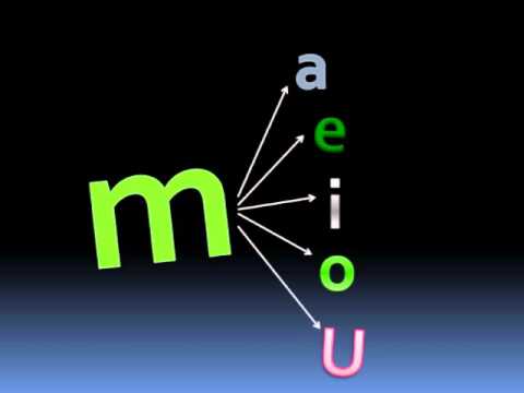 la m - M (2)