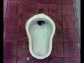 The 100th Video - Full Video Of Jubilee Street Public Toilet