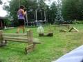 videos de rabbit tricks