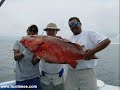 World Record Fishing - Captain Bobby McGuinness- Costa Rica