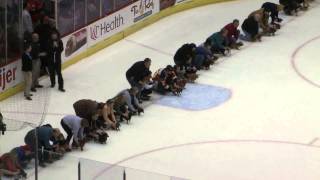 Cyclones vs Komets - March 28, 2015