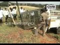 FOREST OFFICIALS TRAP LEOPARD CREATING SCARE AMONG VILLAGERS