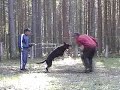 Dog Training Seminar Wilfried Luneberg. (p.3)