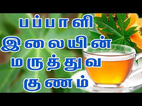 பப்பாளி இலையில் இருக்கும் மருத்துவ குணம் | Papaya Leaves Benefits You Never Knew Before
