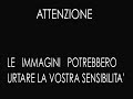 PISTOIA - Nell'asilo degli orrori  il filmato - MAESTRE CHE DEVONO CREPARE APPESE!!!!.flv