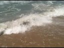 A walk on the Beach with some tapping and affirmations