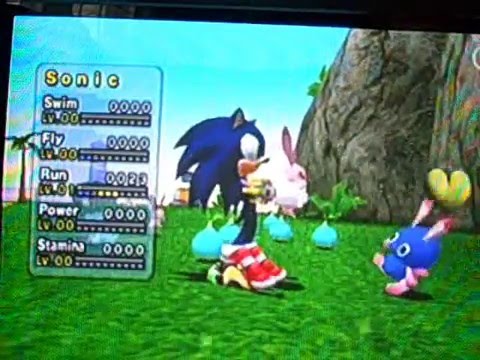 how to make a sonic chao