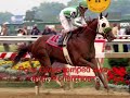No racehorse is perfect