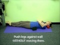 QL Low Back Exercise