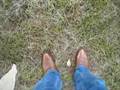 Caramel Lucchese 2000 Cowboy Boots