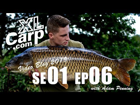 XL Carp Video