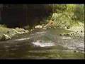 YouTube - Samantha Brown cave tubing