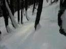 Slika Prvi pravi sneg v hribih in Bložič (0) Slika Prvi pravi sneg v hribih in Bložič (0)