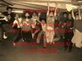 videos de DM crew episode 8 part 1