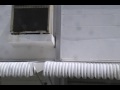 fLORIDA KILLER BEES Top of World Bees, iNFRARED CAMERA iNSPECTION