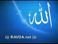 Öldürdünmü Onlar Gibi Öldüreceksin ((( RAVDA.net )))