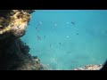Croatia, snorkeling near Dubrovnik