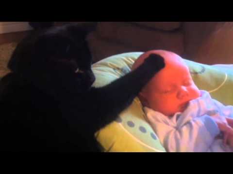 Schlafen Katze Baby Foto Bild: Katze wiegt Baby in den Schlaf