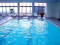 Former Member of Romanian Olympic Swim Team Swims Medly on Rooftop in New York City