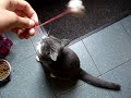Luna in actie! Luna in actie!
