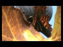 Polygonia C album una farfalla fiore.. Polygonia C album una farfalla fiore..