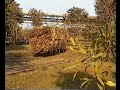 PG Kebonagung Malang Indonesien