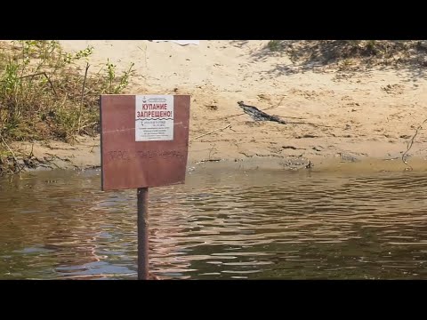 В Беларуси за выходные утонули 13 человек, из них - один ребенок видео