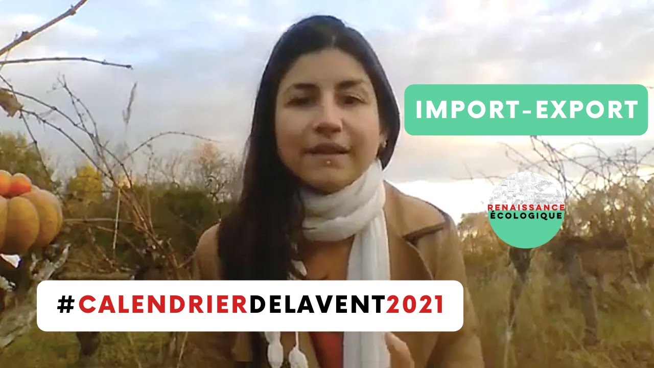 Import Export #CalendrierdelAvent2021 Corinne Dos Santos