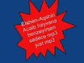 Elshen Aqshin Acaib heyvana benzeyirsen