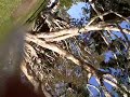 Jan 01 2008 - VID00011