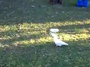 a random day at my workplace