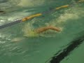 NATATION CIRCUIT DEPARTEMENTAL VOUZIERS 18 NOV 2007 NATATION CIRCUIT DEPARTEMENTAL VOUZIERS 18 NOV 2007