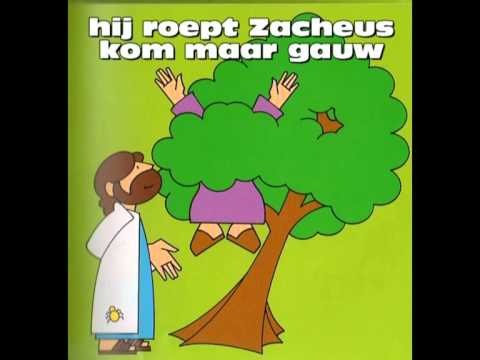 Kinderopwekking Zacheus