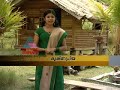 Asianet News : Dream Home April 24, 2011 Part1