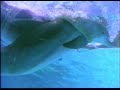 Olivia Newton John - The promise (the dolphin song)