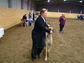 Willow utstallning 071027 del1