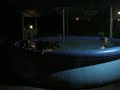 una sera in piscina da luca 3