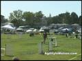 videos de Wynn Steeplechase 10-11-08