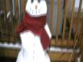 videos de Bonhomme de neige