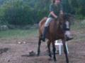 Obstacle a cru