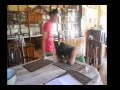 maltrato familiar - YouTube