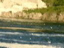 Niagara Falls